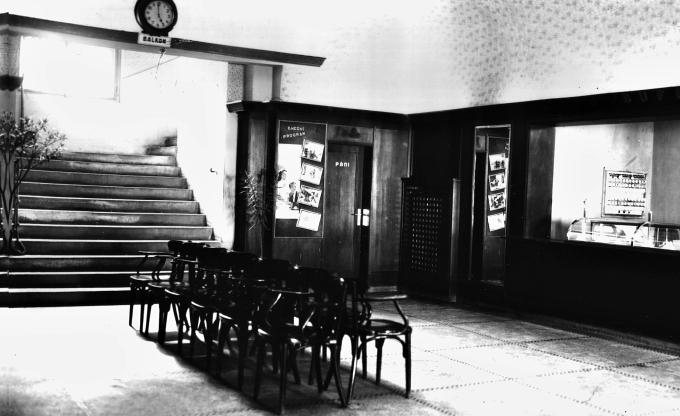 kino5