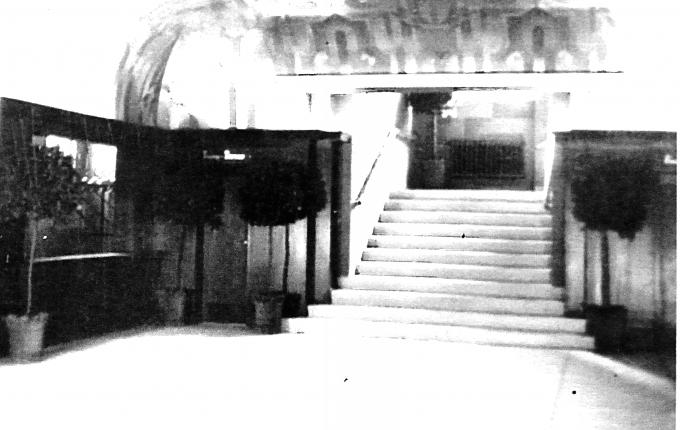 kino6